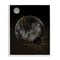 Stupell Industries Minimal Planetary Galaxy Framed Giclee By Daniela Santiago
